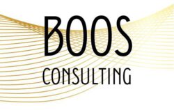 BOOS Consulting