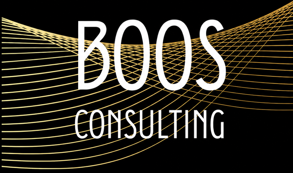 Boos consulting
